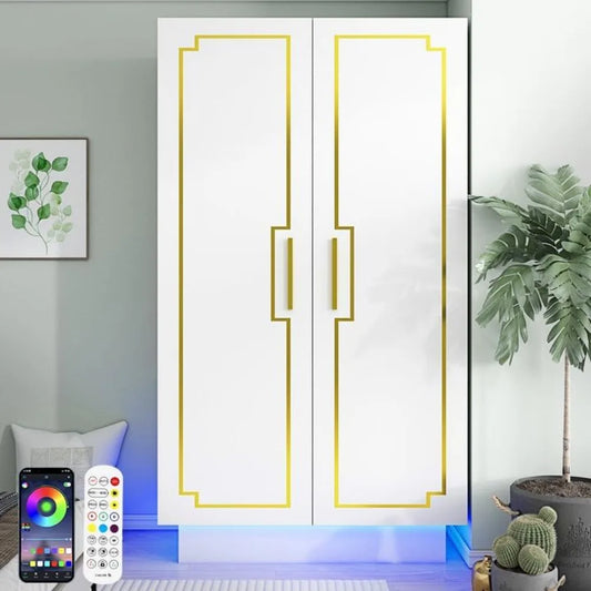 2 Door LED Armoires Wardrobe Closet and Clothes Organizer