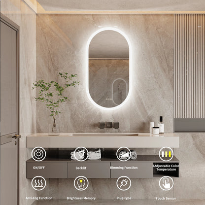 Oval Lighted Vanity Mirror with Anti-Fog